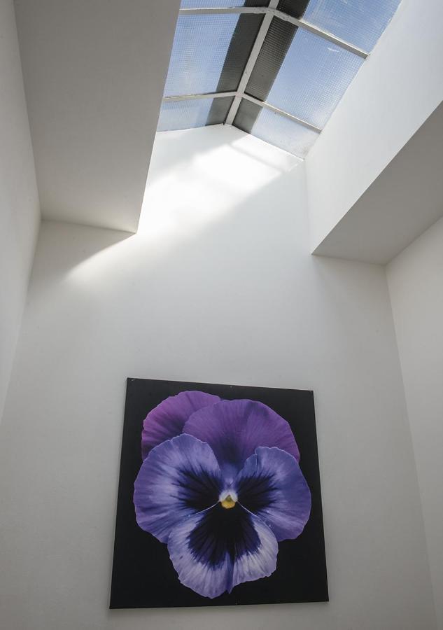 Отель Le Stanze Dei Fiori Болонья Экстерьер фото